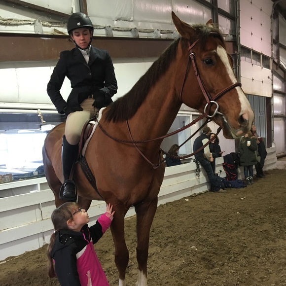 Love a horse today OR... - Picture 4 of 5